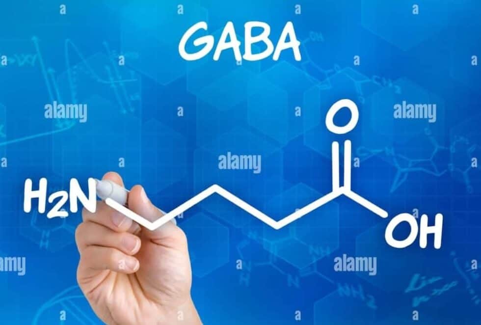 가바 효능 5가지 및 부작용, 복용법 : GABA 영양제 추천 1 가바